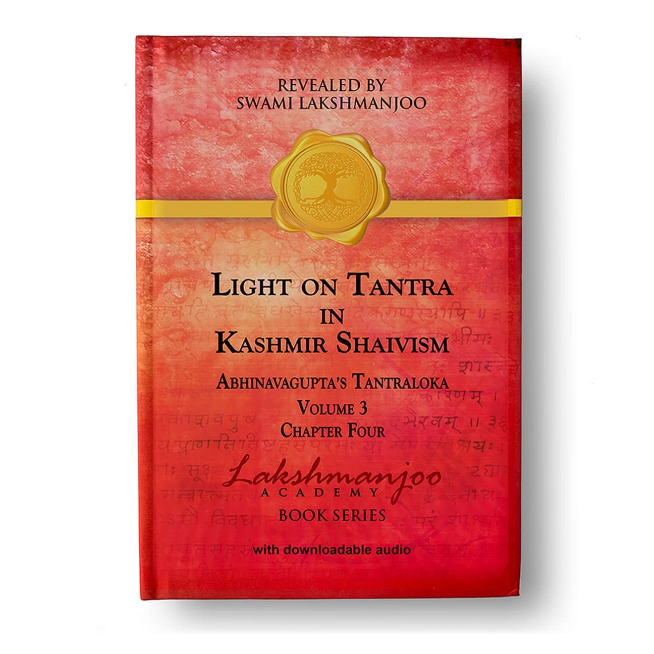 Light on Tantra of Kashmir Shaivism, Abhinavagupta's Tantraloka Volume 3, Chapter Four